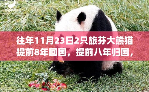 第3192页