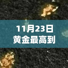 第3186页