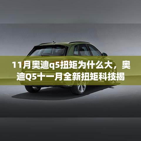 揭秘奥迪Q5十一月全新扭矩科技，卓越体验，揭秘大扭矩背后的秘密