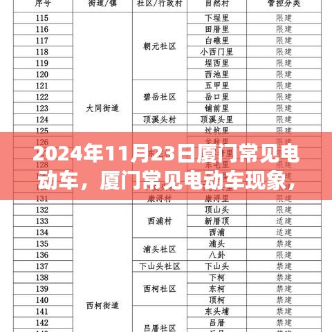 厦门电动车现象深度解析与观点阐述，2024年11月23日实拍解析