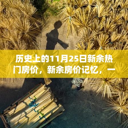 物以稀为贵 第7页