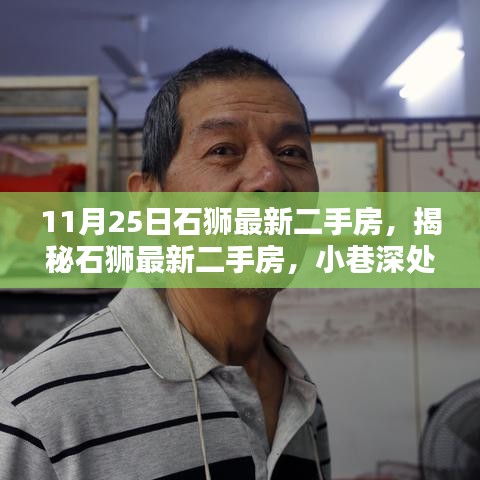 揭秘石狮最新二手房，小巷风情与隐藏特色小店一览（11月25日最新）