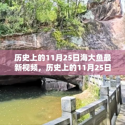 东张西望 第6页