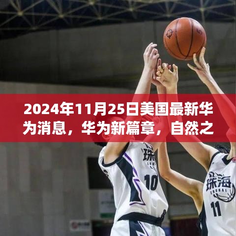 飞来飞去 第6页