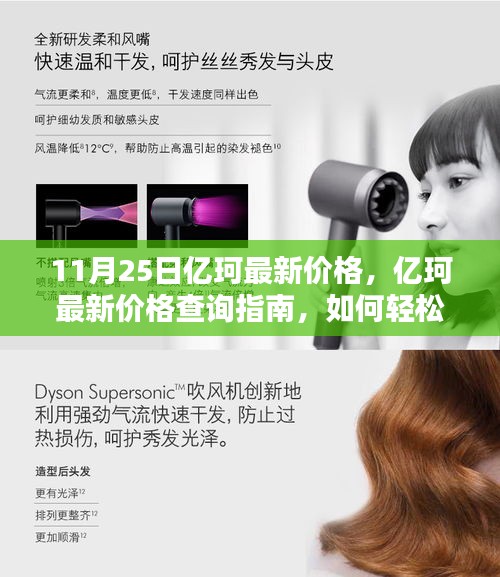 纲挈目张 第6页