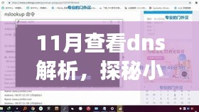 窗明几净 第6页