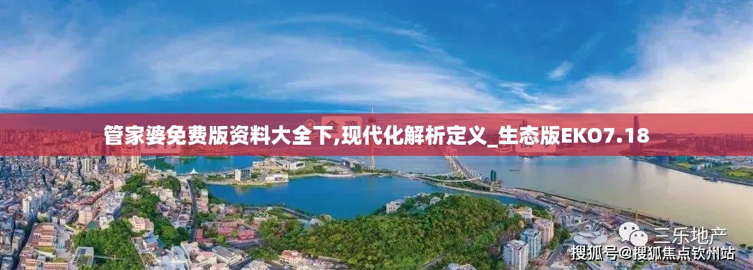 管家婆免费版资料大全下,现代化解析定义_生态版EKO7.18