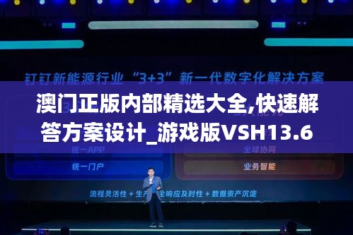 澳门正版内部精选大全,快速解答方案设计_游戏版VSH13.69