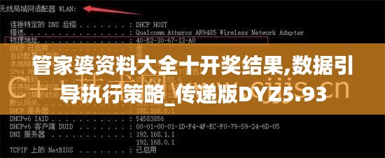 管家婆资料大全十开奖结果,数据引导执行策略_传递版DYZ5.93