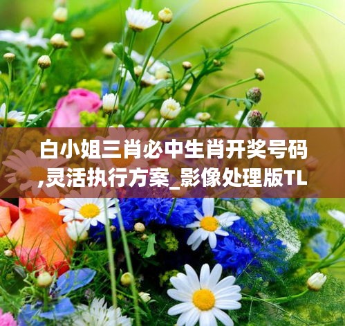 鸟入樊笼 第4页