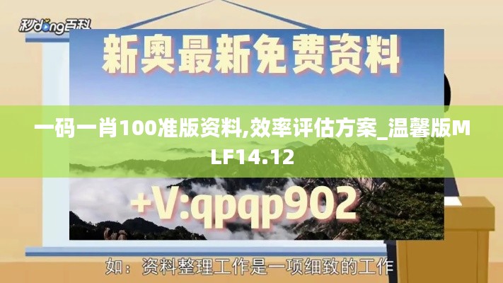 一码一肖100准版资料,效率评估方案_温馨版MLF14.12