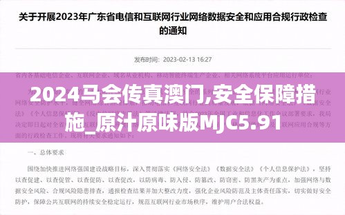 2024马会传真澳门,安全保障措施_原汁原味版MJC5.91