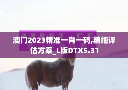 澳门2023精准一肖一码,精细评估方案_L版DTX5.31