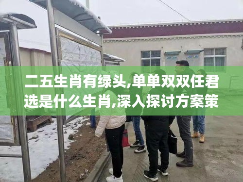走马观花 第5页