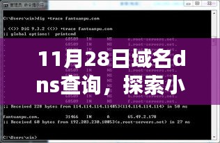 凌空飞起 第4页