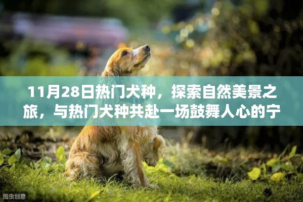 量入为出 第4页