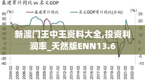 新澳门王中王资料大全,投资利润率_天然版ENN13.6