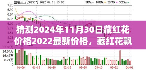 物以稀为贵 第6页