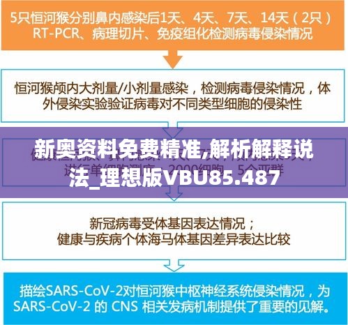 新奥资料免费精准,解析解释说法_理想版VBU85.487