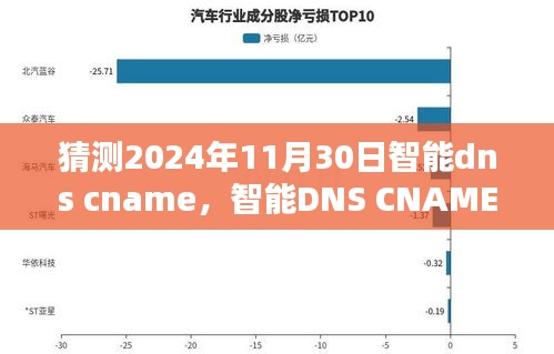 关于智能DNS CNAME的深度预测与体验报告，展望2024年极致解析服务的未来趋势与全面介绍