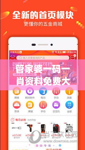 落土飞岩 第4页