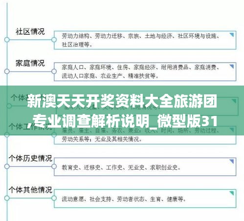 新澳天天开奖资料大全旅游团,专业调查解析说明_微型版31.579