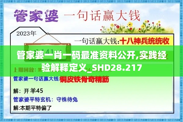 管家婆一肖一码最准资料公开,实践经验解释定义_SHD28.217