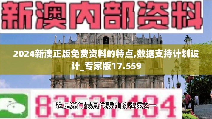 2024新澳正版免费资料的特点,数据支持计划设计_专家版17.559
