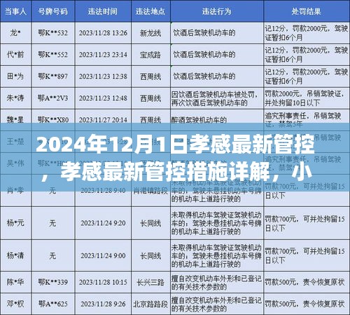 孝感最新管控措施详解，小红书带你了解2024年12月的新变化解读