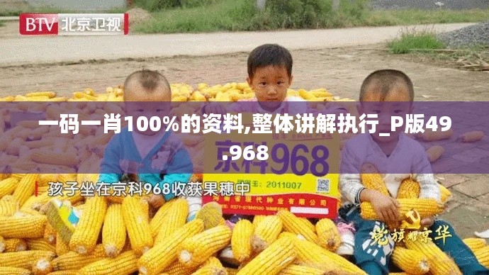 不飞则已 第4页