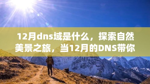 自然美景探索 第3页