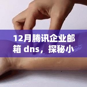 橘虞初梦 第4页