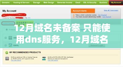 未备案域名在12月的DNS服务使用，利弊分析与个人视角