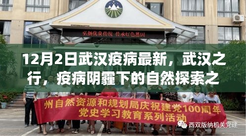 内心宁静绿洲