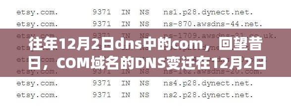 飞龙在天 第5页