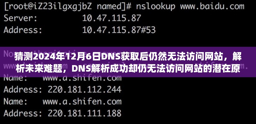解析未来难题，DNS解析成功却仍无法访问网站的潜在原因及应对策略（预测至2024年12月6日）