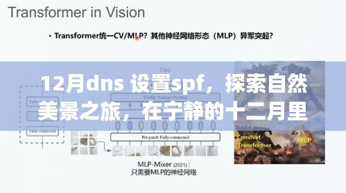 12月DNS设置SPF，自然美景之旅，寻找内心的平和与宁静