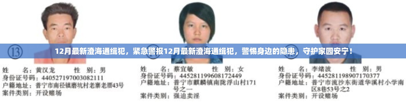 六鹢退飞 第4页