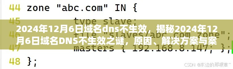 文贵天成 第3页