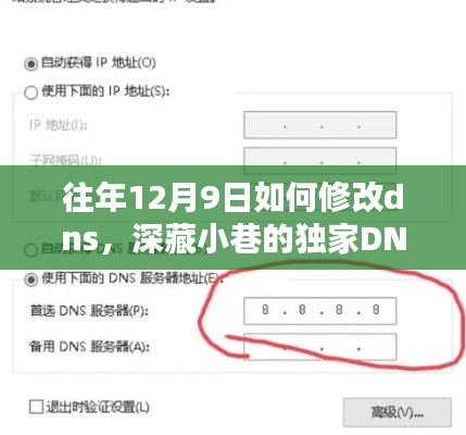 独家DNS秘籍，解锁往年12月9日的网络宝藏，探索独特环境下的网络新纪元！