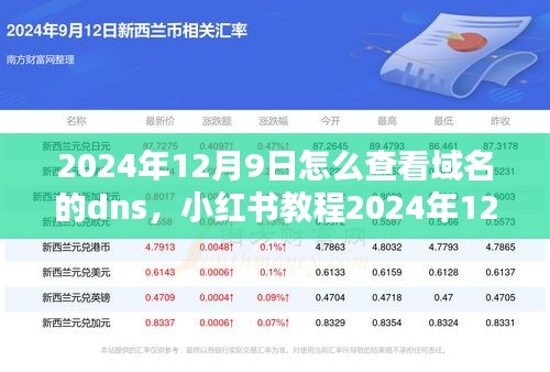 小红书教程，如何轻松查看域名的DNS设置（2024年最新指南）