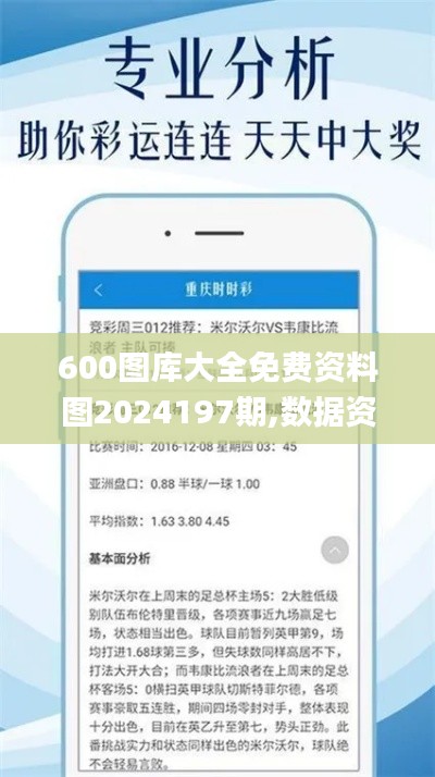 600图库大全免费资料图2024197期,数据资料解释定义_RX版4.870