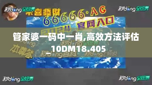 管家婆一码中一肖,高效方法评估_10DM18.405