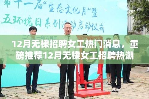 鸟覆危巢 第4页