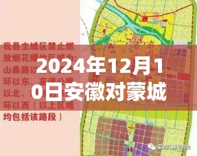 披肝沥胆 第3页
