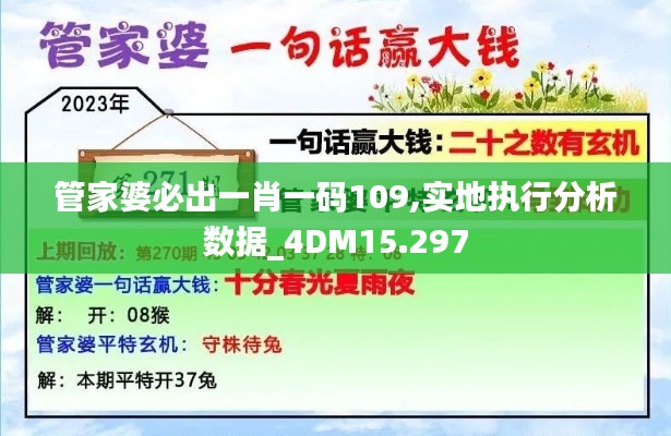 管家婆必出一肖一码109,实地执行分析数据_4DM15.297