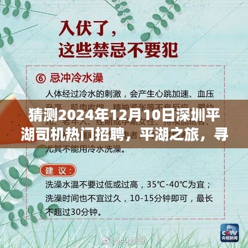 五角六张 第4页