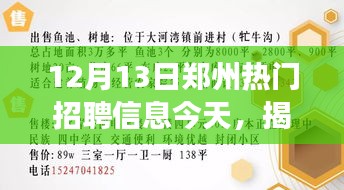 揭秘今日郑州热门招聘信息，职场黄金机遇与挑战并存，把握机遇，迎接挑战！