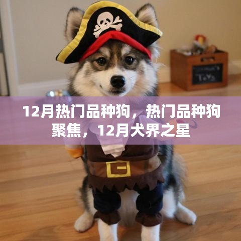 棒打出头鸟 第3页