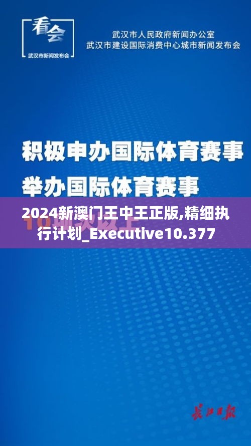 2024新澳门王中王正版,精细执行计划_Executive10.377